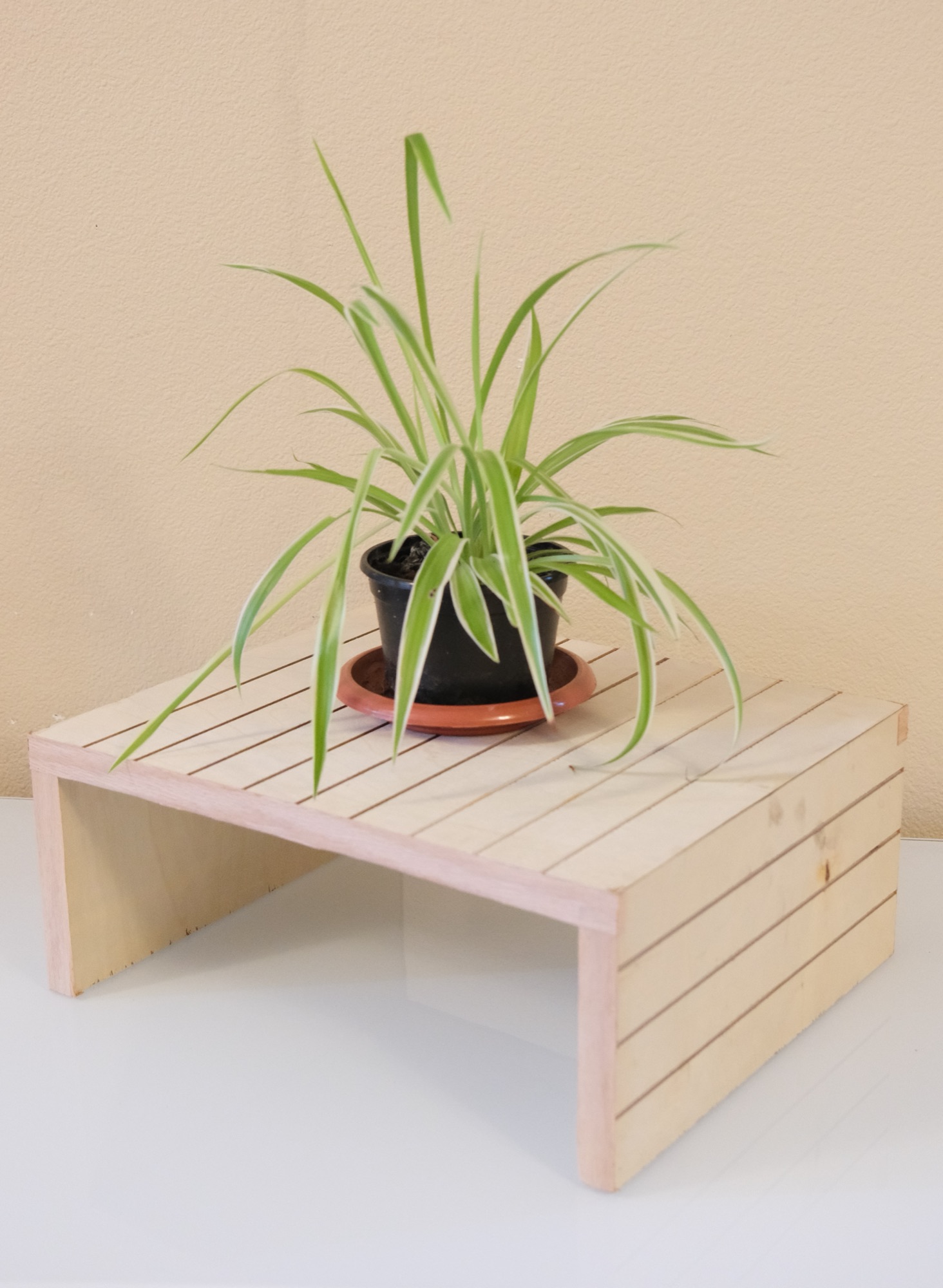 Monitor Stand